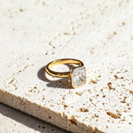 Load image into Gallery viewer, FRANCES